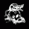RATTUS