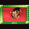 Aria