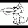 KIPI