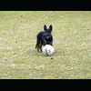 mariuszak