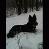 koreczka