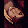 Scarlet Lily
