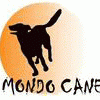 Mondo Cane Jelenia Góra