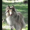 M@GDI