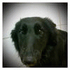 anna.w