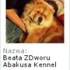 Beata-kawa